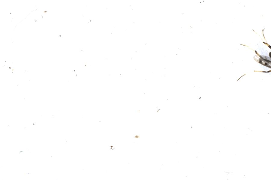 Image 58